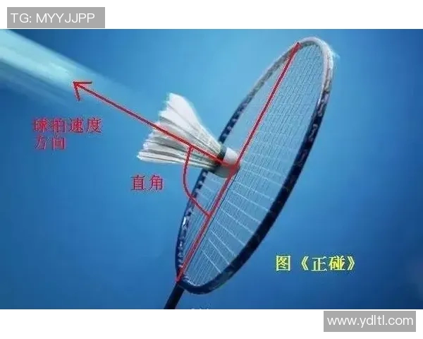 科学羽毛球速度训练的有效方法与技巧提升运动表现的全面指南MBA